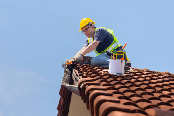 Best Slate Roofing  in Blountstown, FL